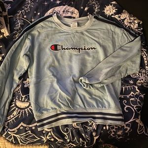 Champion pull over